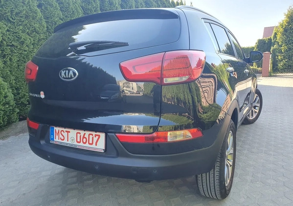 Kia Sportage cena 55950 przebieg: 58920, rok produkcji 2014 z Kędzierzyn-Koźle małe 562